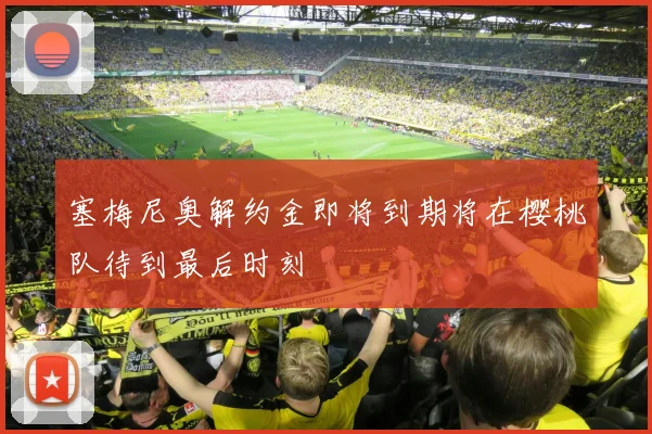 塞梅尼奥解约金即将到期将在樱桃队待到最后时刻