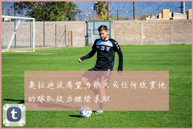 奥拉迪波渴望为热火或任何欣赏他的球队效力继续求职