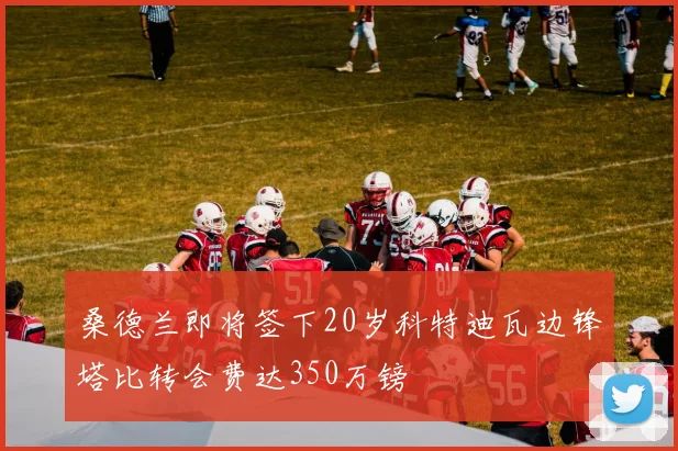 桑德兰即将签下20岁科特迪瓦边锋塔比转会费达350万镑