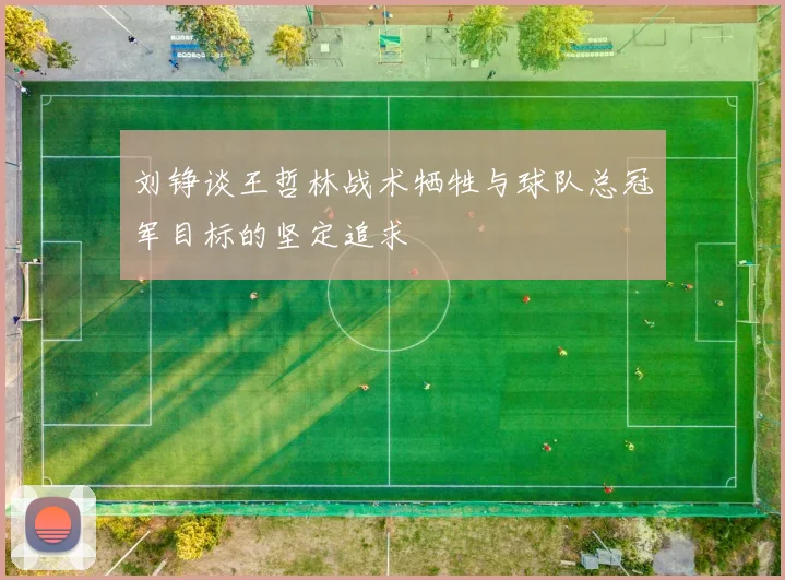 刘铮谈王哲林战术牺牲与球队总冠军目标的坚定追求